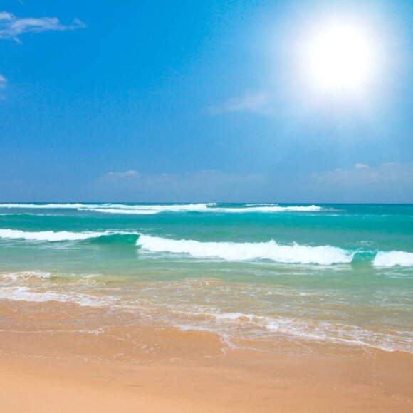 Other - 🏖️🏄🏼‍♀️💋ALL BUNDLES, OFFERS & LIKES GET A REPLY!!!💋🏄🏼‍♀️🏖️